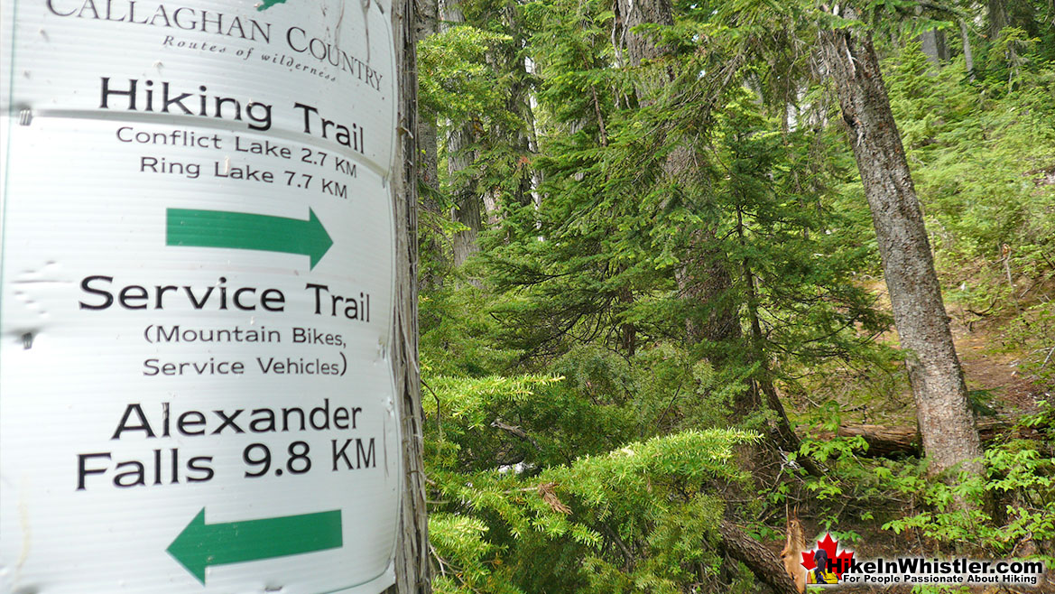 Ring Lake Trail Hike in Whistler