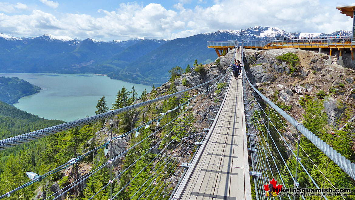 Sky Pilot Suspension Bridge