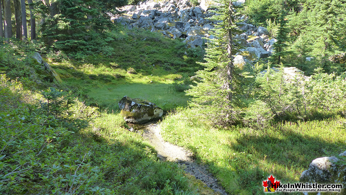 Sproatt East Trail Meadow