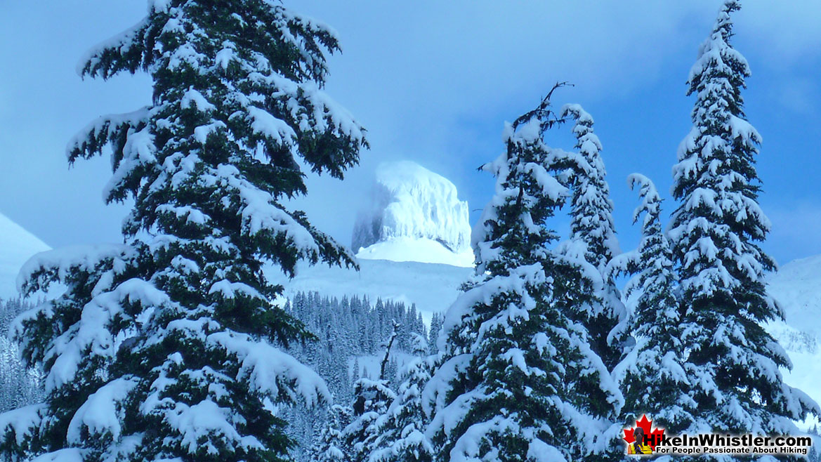 Black Tusk from Taylor Meadows