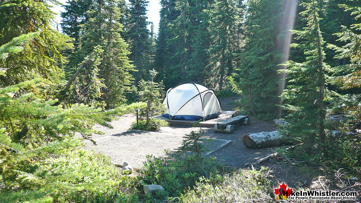 Taylor Meadows Tent