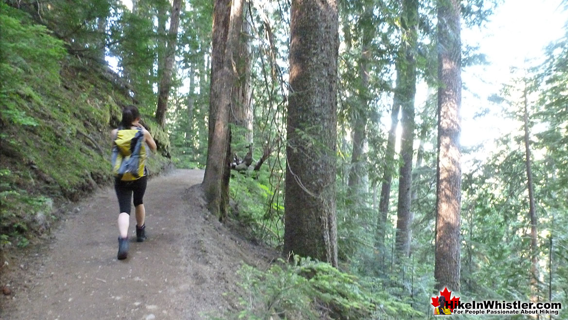 Rubble Creek Trail to Taylor Meadows