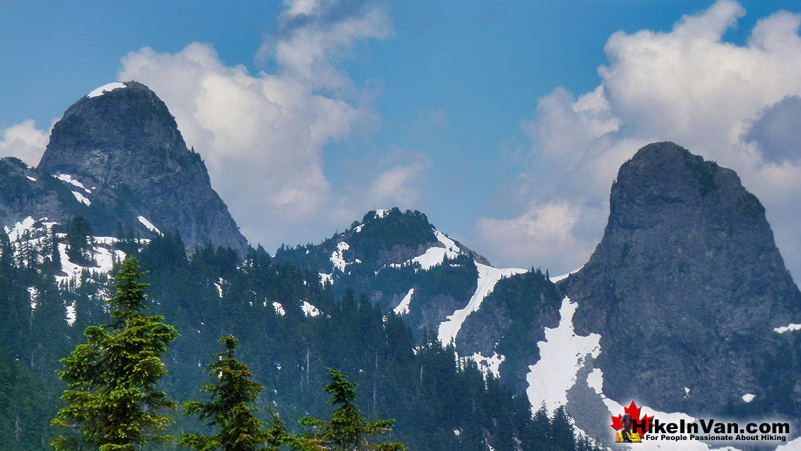 The Lions from St Mark's Summit