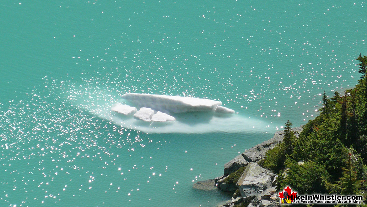 Wedgemount Lake Iceberg Swimming