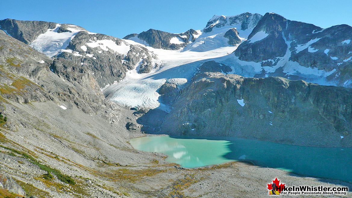 Wedge Glacier from Mount Cook